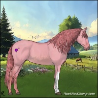 Horse Color:Watercolor Red Dun