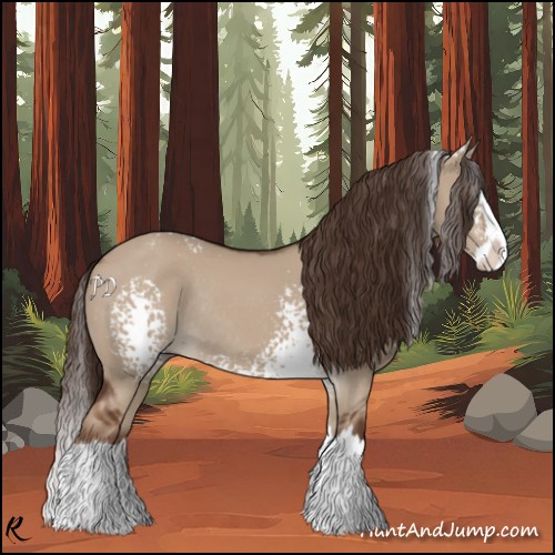 Horse Color:White Spotted Liver Red Dun Splash Rabicano 