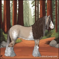 Horse Color:White Spotted Liver Red Dun Splash Rabicano 