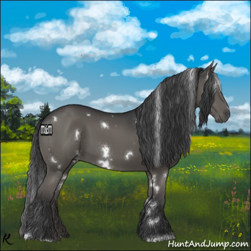 Horse Color:White Spotted Grullo