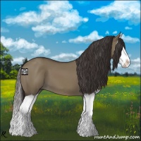 Horse Color:Smoky Grullo Splash 