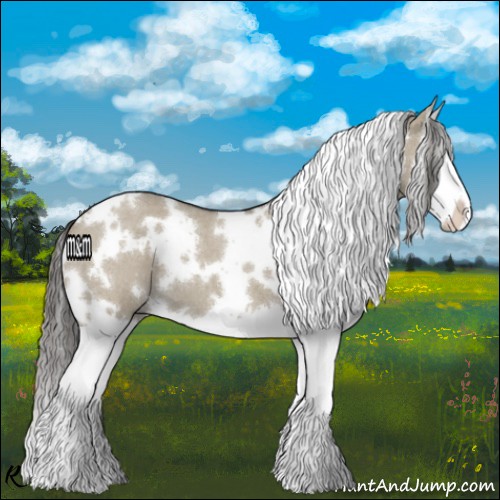 Horse Color:White Spotted Smoky Grullo Roan Splash