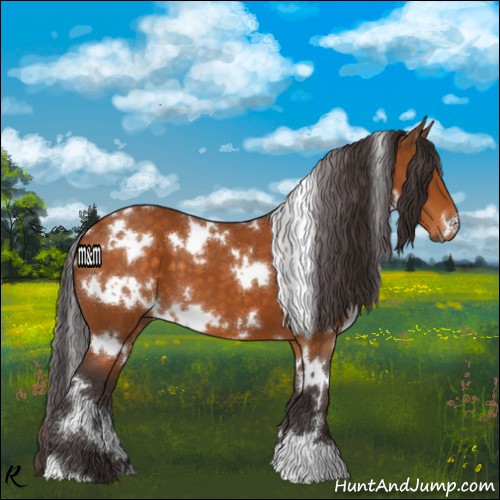 Horse Color:White Spotted Buckskin
