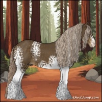 Horse Color:White Spotted Chocolate Palomino