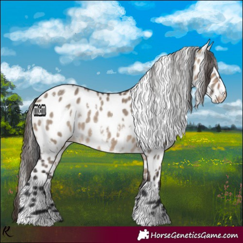 Horse Color:White Spotted Brown Dun Leopard 