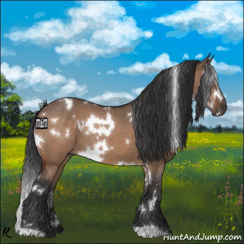 Horse Color:White Spotted Brown Dun 