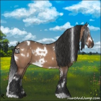 Horse Color:White Spotted Brown Dun 