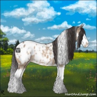 Horse Color:White Spotted Bay Dun Splash Appaloosa 