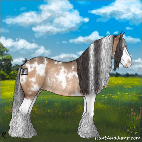 Horse Color:White Spotted Bay Dun Splash Rabicano 