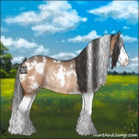 Horse Color:White Spotted Bay Dun Splash Rabicano 