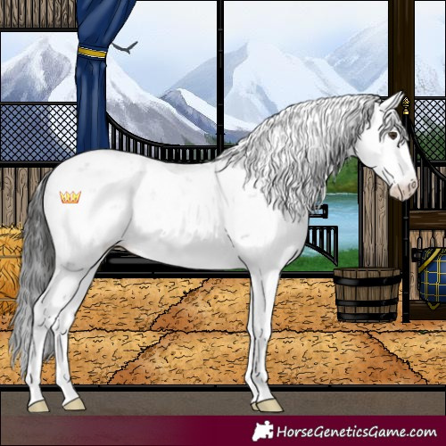 Horse Color:Liver Chestnut Sabino 