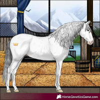 Horse Color:Liver Chestnut Sabino