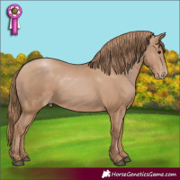 Horse Color:Black Pearl