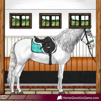 Horse Color:Silver Buckskin Dun Splash Blanket 