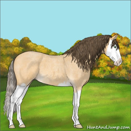 Horse Color:Amber Cream Champagne Roan Splash