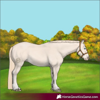 Horse Color:Perlino 