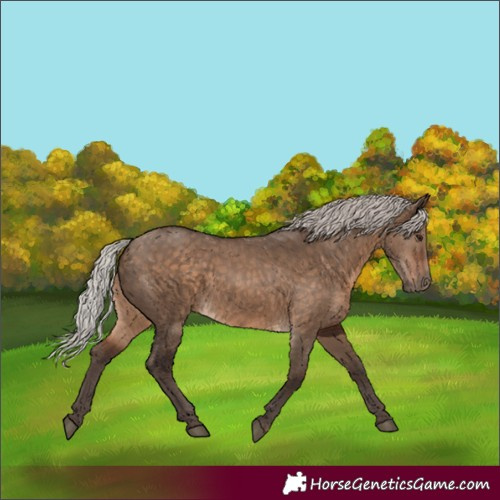 Horse Color:Silver Brown Dun 