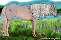 Horse Color:Watercolor Palomino 