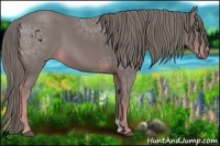 Horse Color:Watercolor Chestnut 