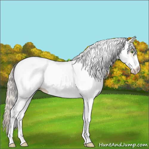 Horse Color:White Spotted Silver Classic Cream Champagne 