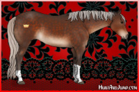 Horse Color:Silver Brown Tobiano Rabicano 