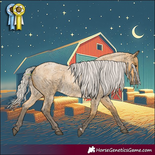 Horse Color:Silver Buckskin Roan
