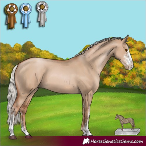 Horse Color:Silver Grullo Pearl Sabino 