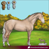 Horse Color:Silver Grullo Pearl Sabino 
