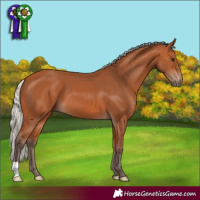 Horse Color:Silver Bay 