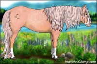 Horse Color:Watercolor Chestnut Splash 