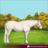 Horse Color:Perlino 