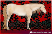 Horse Color:Smoky Black Pearl