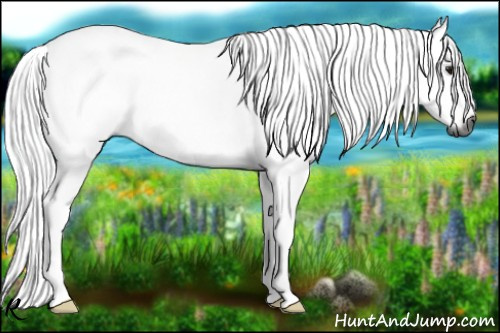 Horse Color:Gray Watercolor Bay
