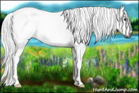 Horse Color:Gray Watercolor Bay 