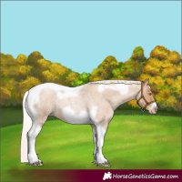 Horse Color:Silver Blue Roan Pearl Tobiano Frame