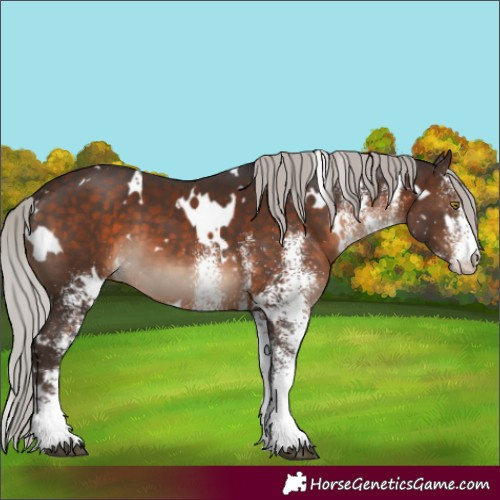 Horse Color:White Spotted Silver Brown 