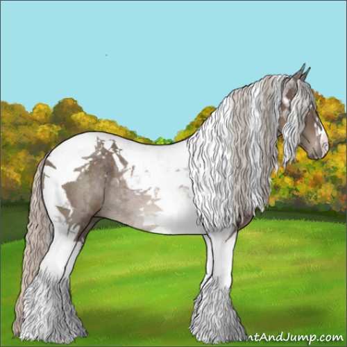 Horse Color:Silver Black Tobiano Rabicano 