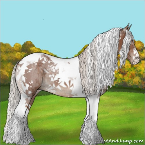 Horse Color:Silver Black Tobiano Rabicano 