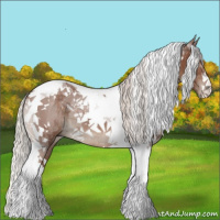 Horse Color:Silver Black Tobiano Rabicano 