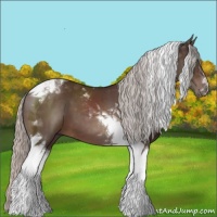 Horse Color:Silver Brown Tobiano 