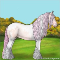 Horse Color:Watercolor Grullo Tobiano 
