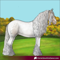 Horse Color:Silver Grullo Tobiano