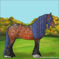 Horse Color:Painted Brown Ice Appaloosa 