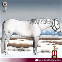 Horse Color:Gray Brown Dun Mushroom Sabino 