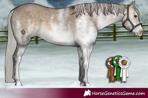 Horse Color:White Spotted Silver Brown Dun Rabicano 