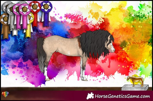 Horse Color:Bay Dun Sabino 