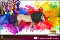 Horse Color:Bay Dun Sabino 