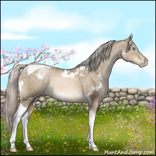 Horse Color:White Spotted Chocolate Palomino Pearl Mushroom Tobiano
