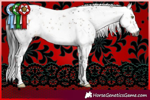 Horse Color:Gray Brown Dun Mushroom Sabino Brindle