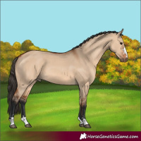 Horse Color:Bay Dun